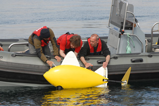 The choice of a robotic fish is not an aesthetic one but a design choice.: The design of a robotic fish is a very maneuverable, efficient, low noise solution. The robotic fish have an incredibly small turning circle allowing them to navigate quickly in ports both to find pollution and avoid ships and the port infrastructure. It's also low noise so as to not disturb the environment when outside of busy ports.  Photograph courtesy of SHOAL.